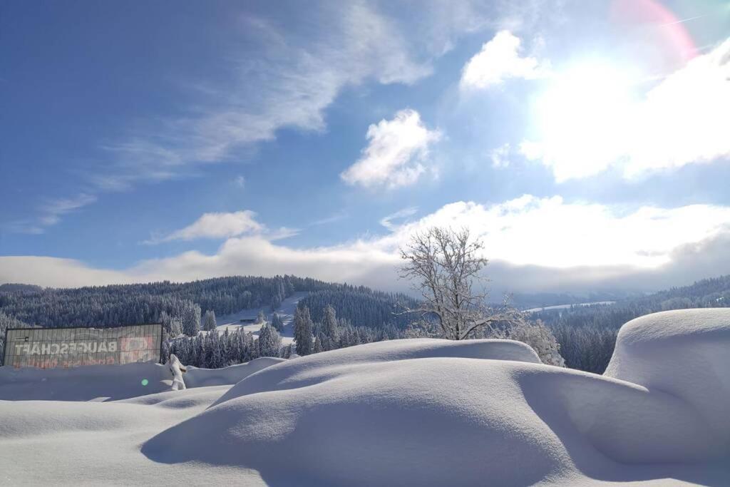 Allgaeu Apartment Rose Im Og Grunenbach Екстериор снимка