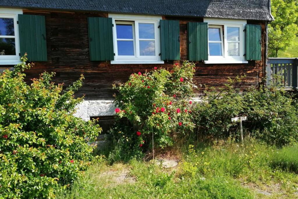 Allgaeu Apartment Rose Im Og Grunenbach Екстериор снимка